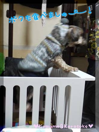 ジャンプ