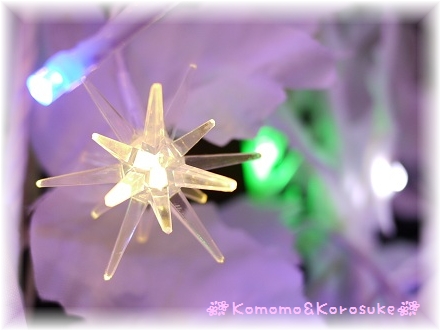 LED