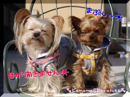 まぶち～