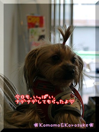 すももん