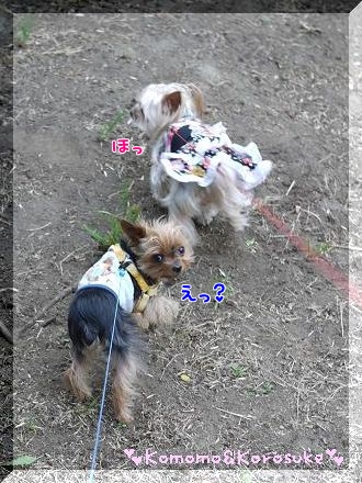 えっ？