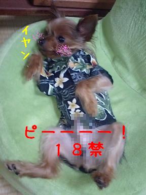 ピーー