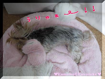 うりゃぁ！