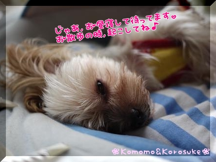 うつらうつら