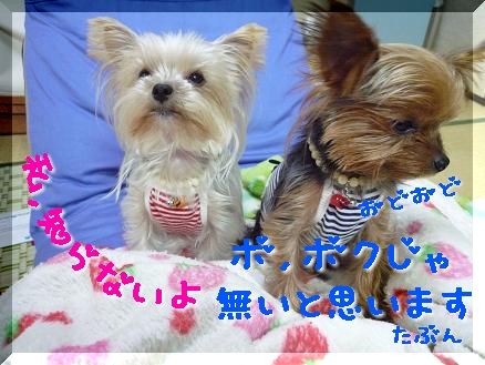 事情聴取
