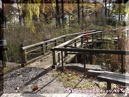 ドロドロ