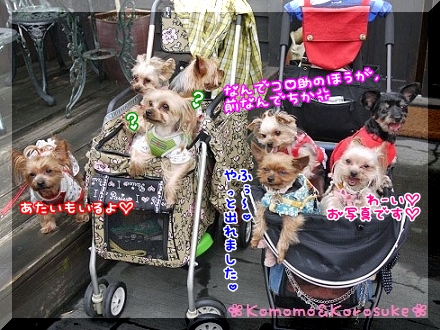 ふぅ～