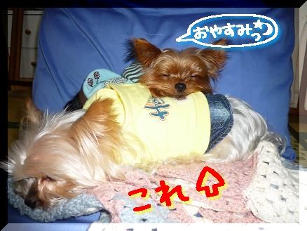 コロ助枕