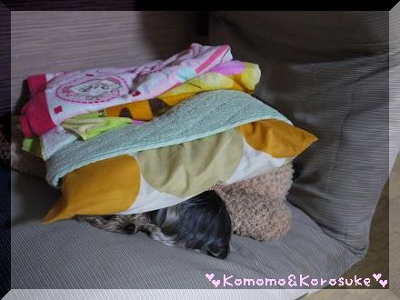 もぐり犬