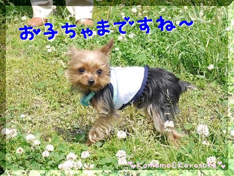お子ちゃま