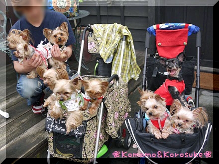 集合写真