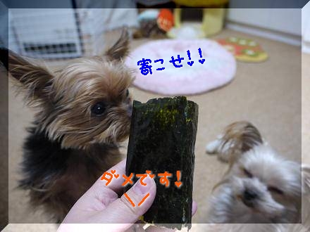 寄こせ！