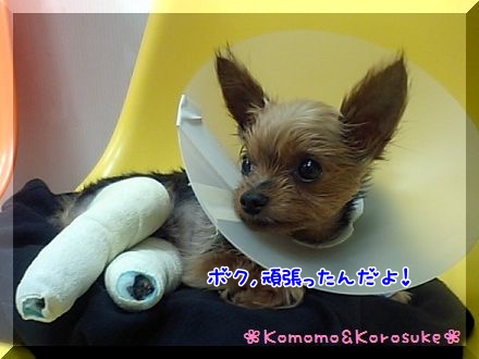 頑張った