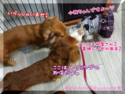 ご挨拶