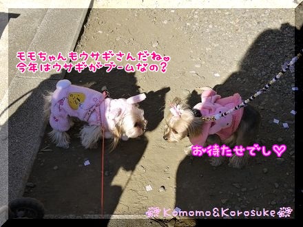 ウサギさん