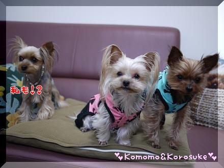 3ショット