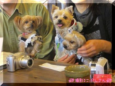 レウォン君＆ウナちゃん＆このはちゃん