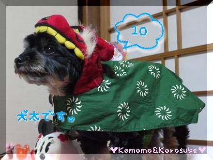犬太君