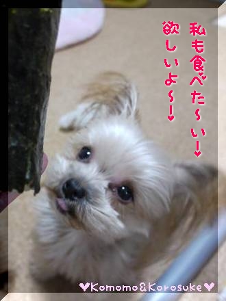 欲しいよ～