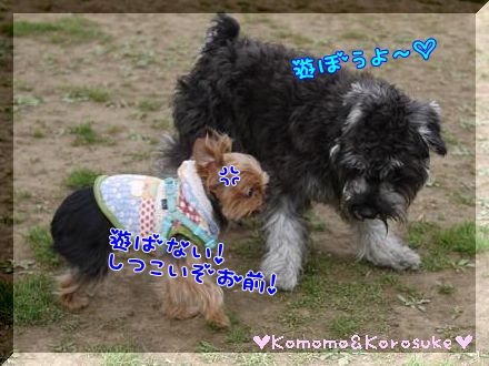 遊ばない！