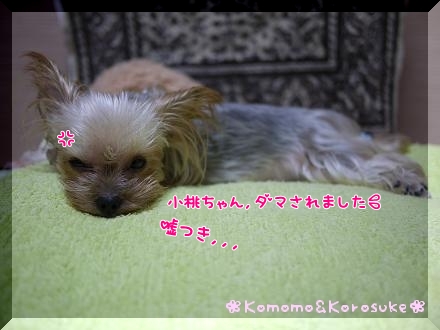 ダマされた