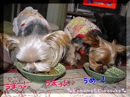うまうま