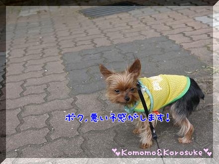 悪い予感