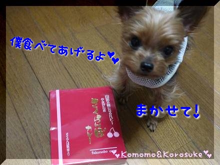 まかせて！
