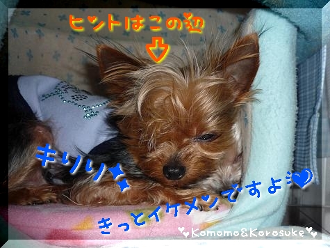 ヒントだよ