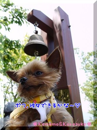 幸せの鐘