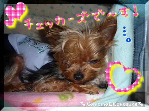 答えだよ