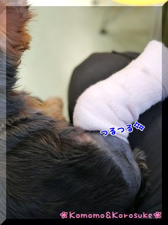 ツルツル