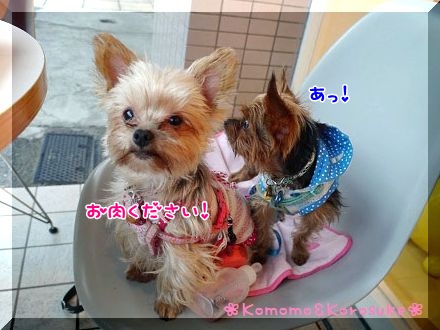あっ！