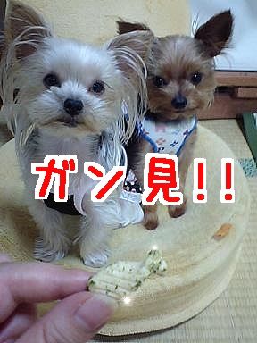 がん見