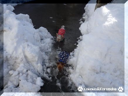 出発進行！