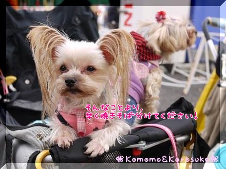 おねだり