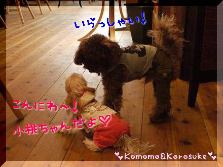 こんにちわ～