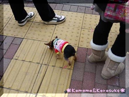 信号待ち