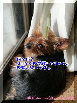 何か用？