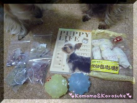 ヨーキーメモ帳