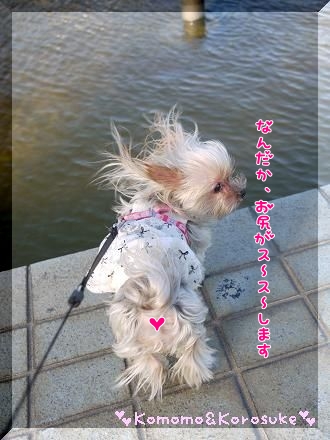 丸出し