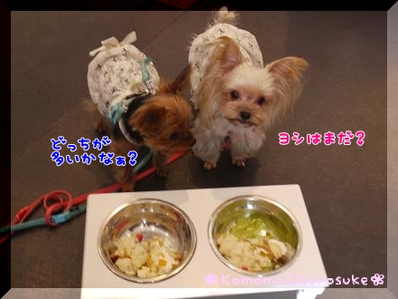 待て