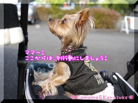 お願い