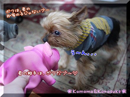 悩むブ～