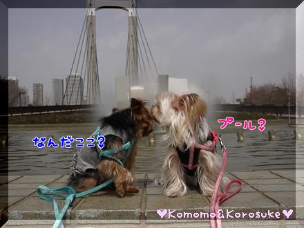 噴水