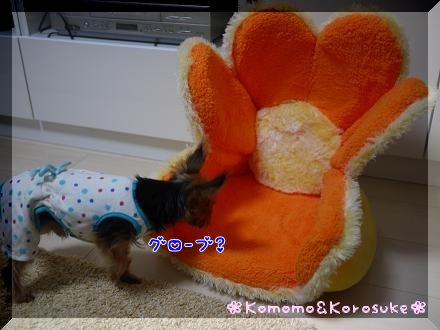 グローブ？