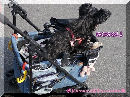 GOGO