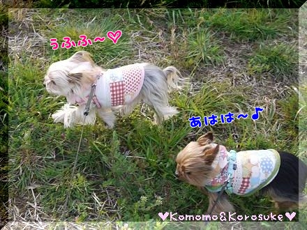 楽しいね