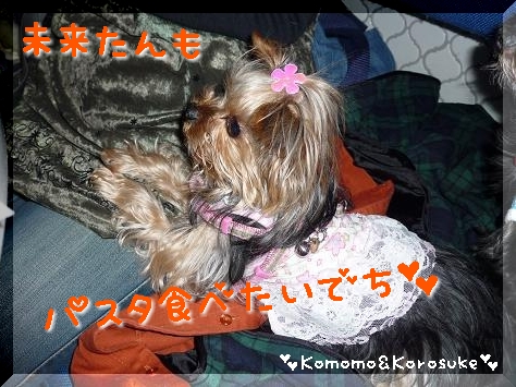 おねだり