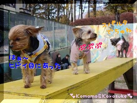 はぁ～
